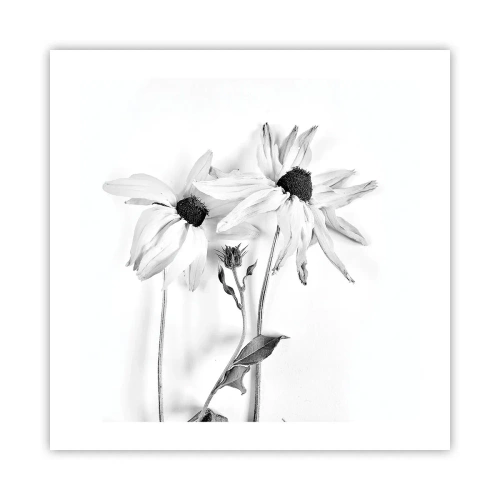 Poster - Nessuno vuole essere solo - 50x50 cm