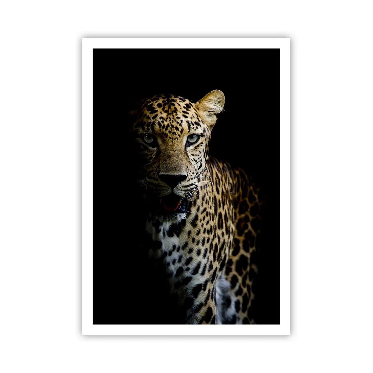Poster - Bellezza tenebrosa - 70x100 cm
