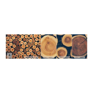 Campione di Fotomurale Premium Canvas - Quanti anni mi dai? - Tronco d'albero, foresta, Pezzo - 100x30 cm