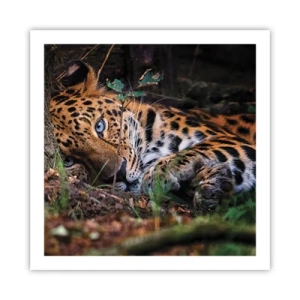 Poster - Fidati di me - 60x60 cm