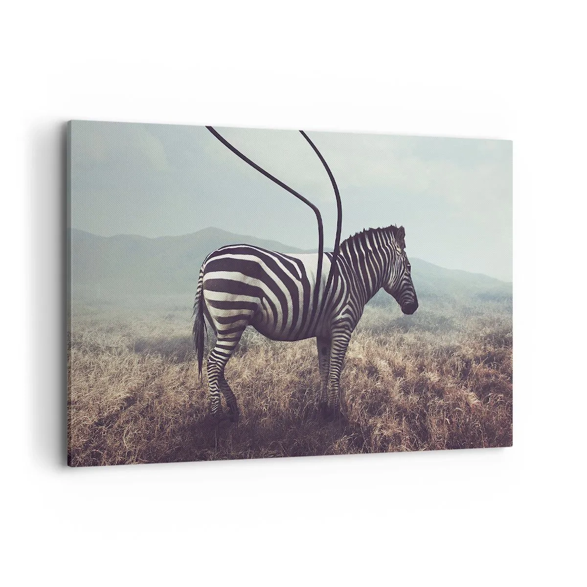 Quadro su tela - Stampe su Tela - Una zebra surreale contro un paesaggio erboso - 120x80cm - Attenzione! Difetto - Decorazione murale moderna per soggiorno e camera da letto ARTTOR