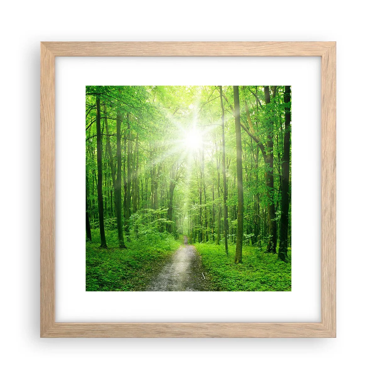 Poster in cornice rovere chiaro - Cattedrale verde - 30x30 cm