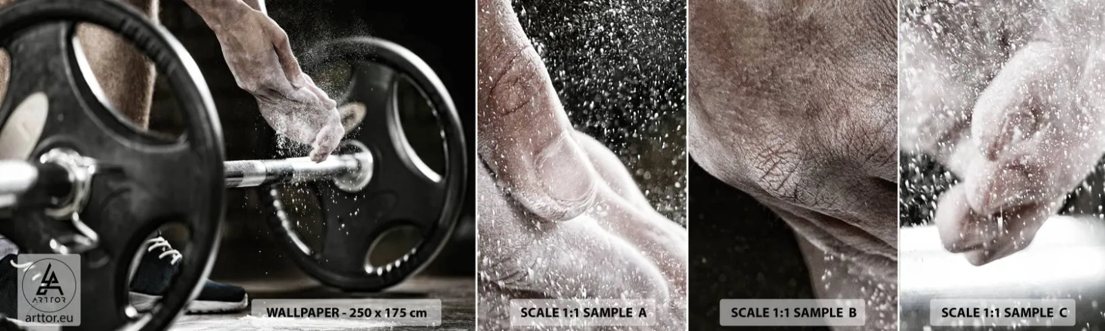 Campione Di Fotomurale Standard Eco - Sfida accettata! - Sport, Palestra, Sollevamento pesi - 100x30 cm