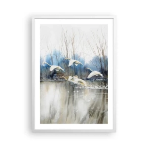 Poster in cornice bianca - Come la favola dei cigni selvatici - 50x70 cm