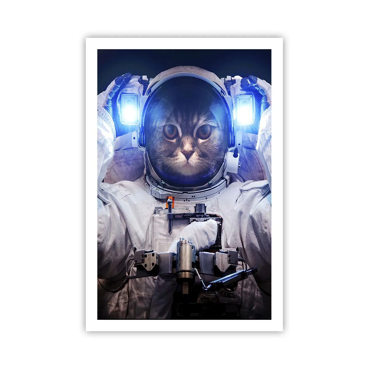 Poster - Houston, avete un problema - 61x91 cm