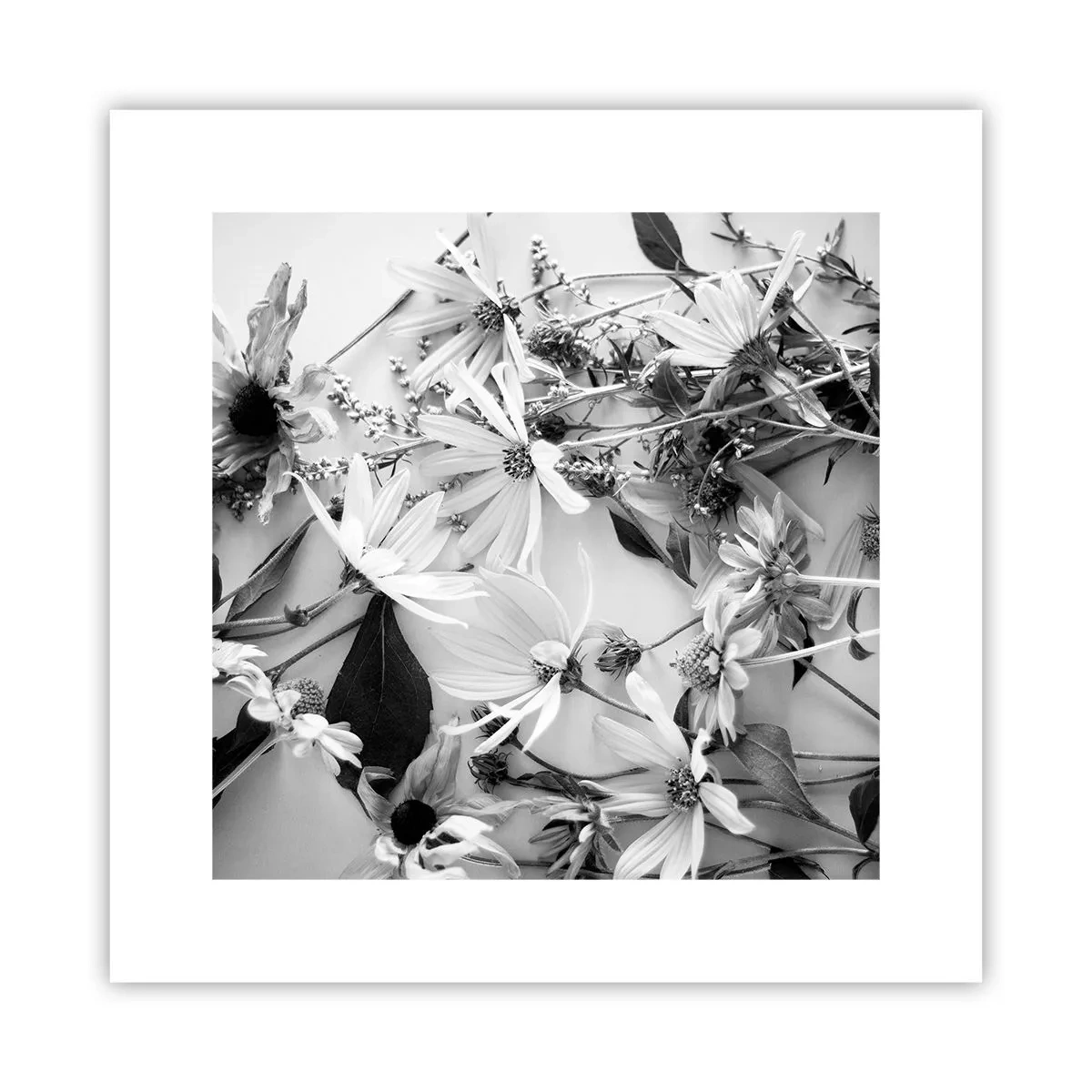 Poster - Un non bouquet di fiori - 30x30 cm