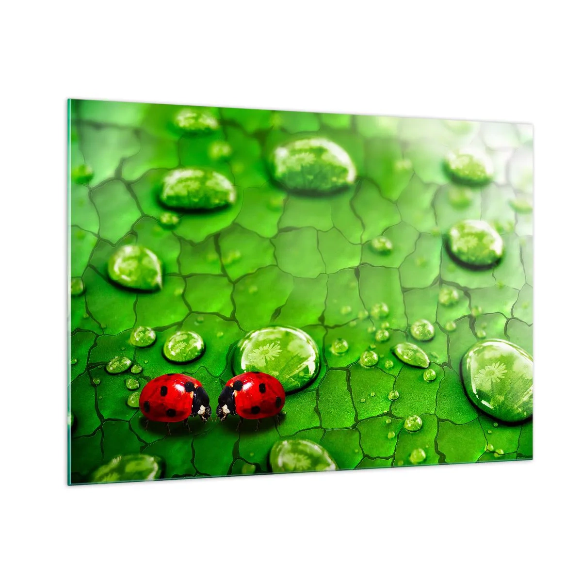 Quadro su vetro - Due coccinelle su una foglia verde con gocce d'acqua - 100x70cm - Incontro in verde - Decorazione murale moderna per soggiorno e camera da letto ARTTOR