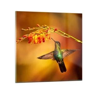 Quadro su vetro - Messaggero di luce secondo i Maya - 30x30 cm
