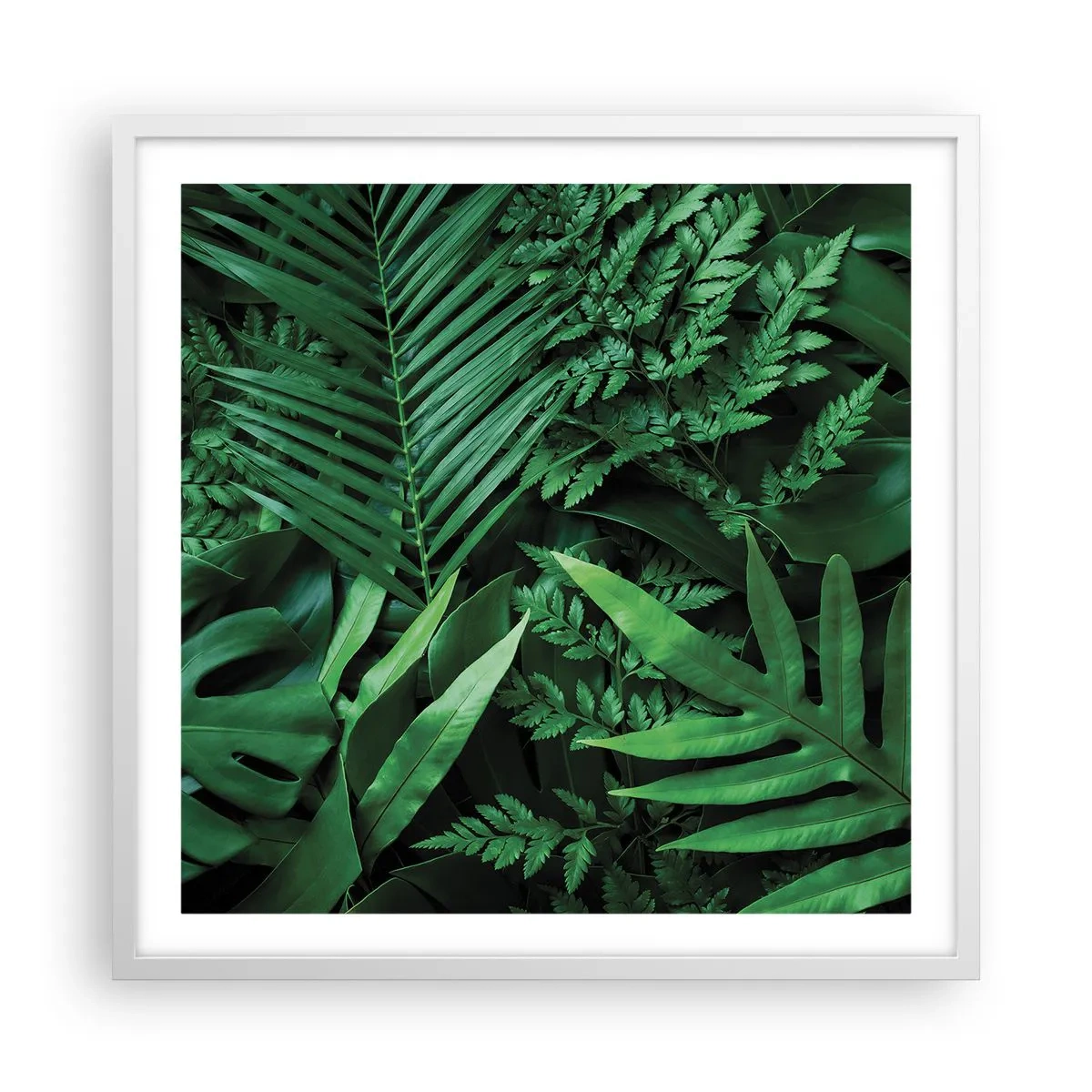 Poster in cornice bianca - Avvolti nel verde - 60x60 cm