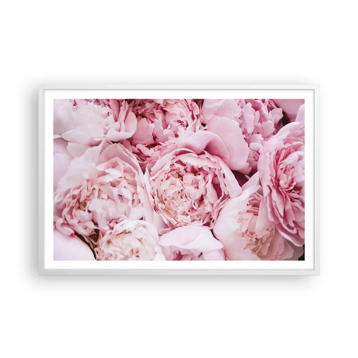 Poster in cornice bianca - Morbide e profumate - 91x61 cm