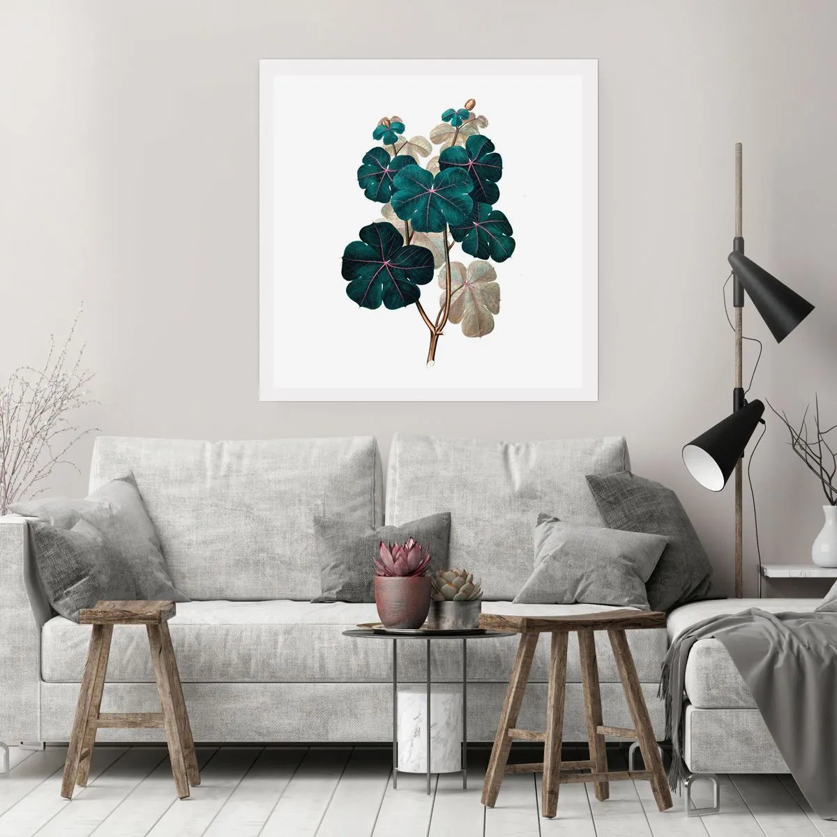 Poster - Dal vecchio erbario - 40x40 cm