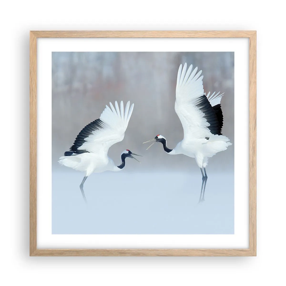 Poster in cornice rovere chiaro - Danza nella nebbia - 50x50 cm