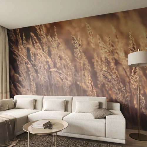 Fotomurali Premium Canvas - Pronti a salutare l'autunno - Paesaggio, Spighe di grano, Prato - 250x175 cm