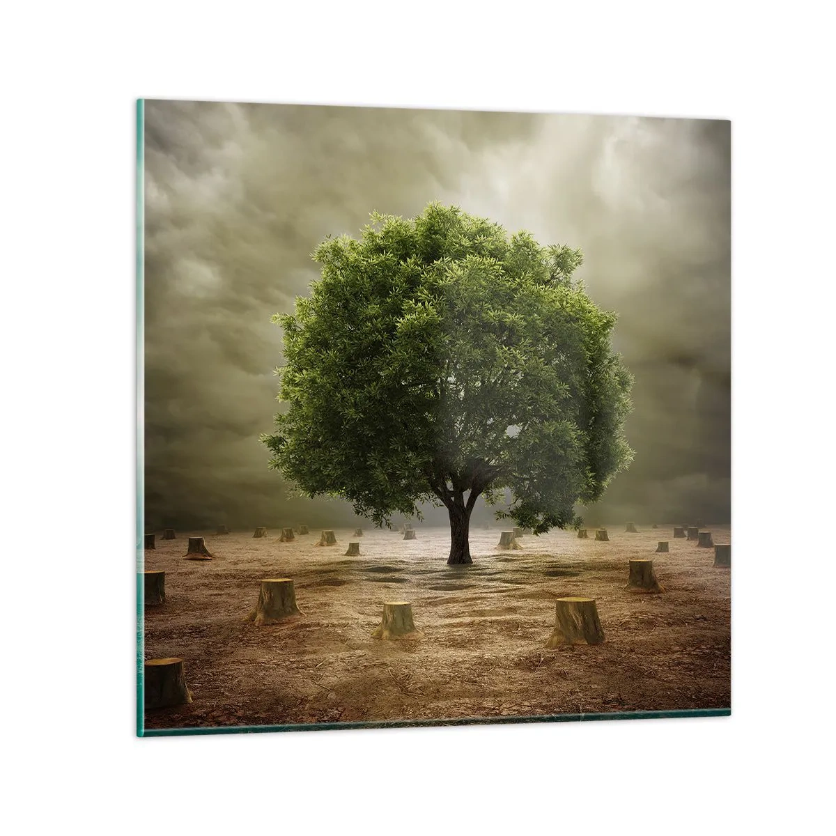 Quadro su vetro - Ogni speranza - 50x50 cm