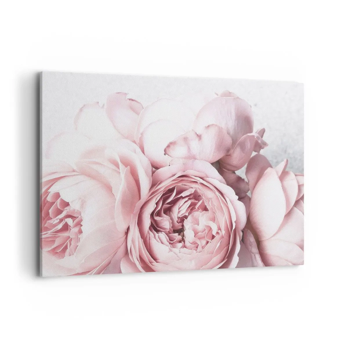 Quadro su tela - Stampe su Tela - Peonie rosa in luce soffusa su uno sfondo chiaro - 100x70cm - Per i romantici - Decorazione murale moderna per soggiorno e camera da letto ARTTOR