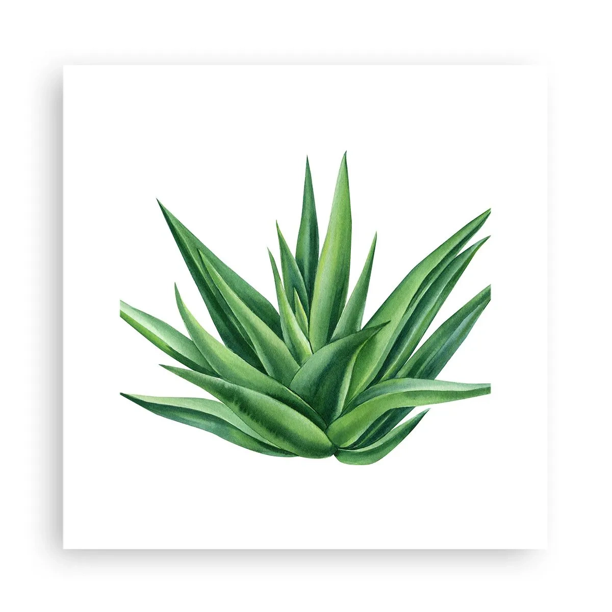 Poster - Verde - forza - vita - 30x30 cm