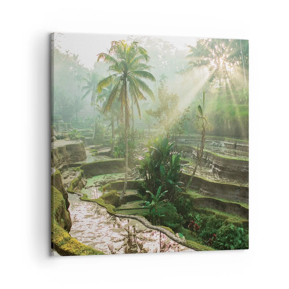 Quadro su tela - Stampe su Tela - Crescere al sole - 50x50 cm