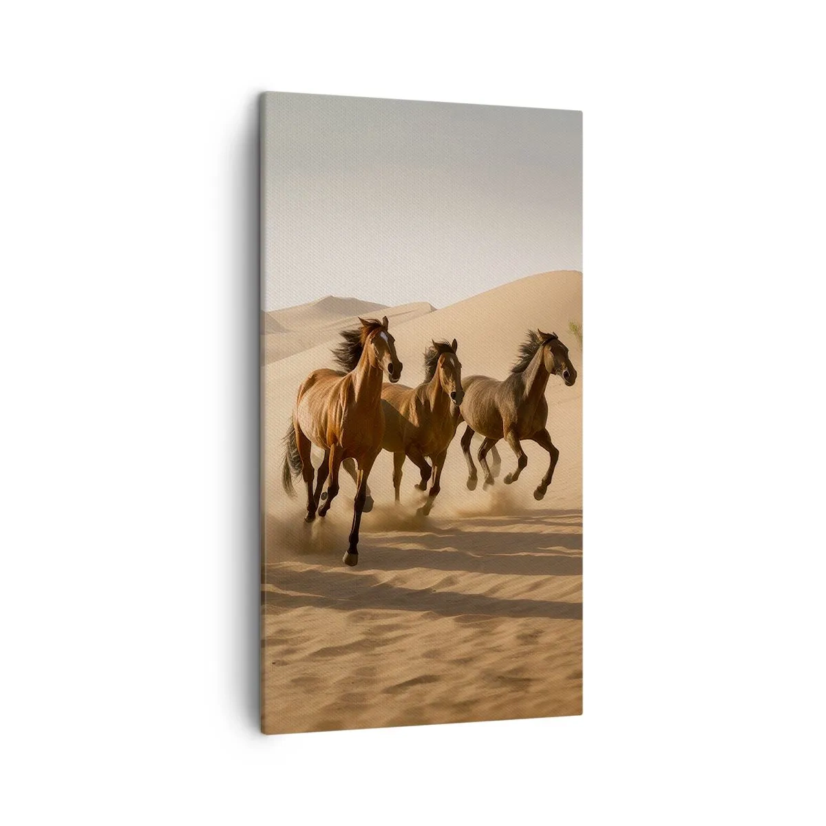 Quadro su tela - Stampe su Tela - Liberi come il vento - 45x80 cm