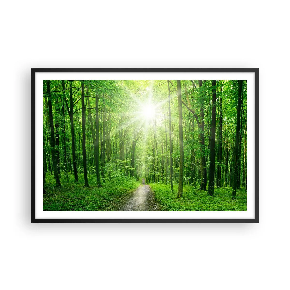 Poster in cornice nera - Cattedrale verde - 91x61 cm