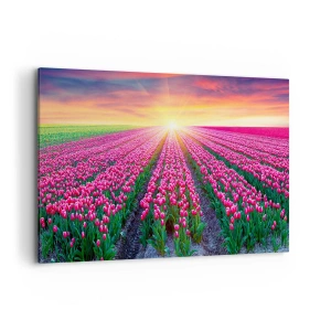 Quadro su tela - Stampe su Tela - Un campo di tulipani al tramonto - 120x80cm - La fattoria della bellezza - Decorazione murale moderna per soggiorno e camera da letto ARTTOR