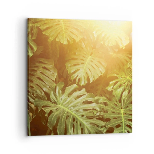 Quadro su tela - Stampe su Tela - Entrando nel verde... - 70x70 cm