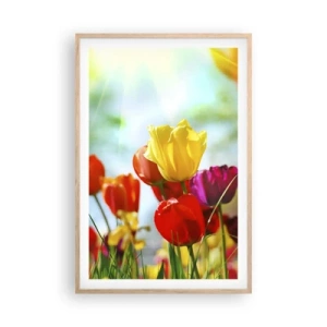 Poster in cornice rovere chiaro - Tutti i colori del sole - 61x91 cm
