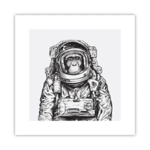 Poster - Evoluzione alternativa - 30x30 cm