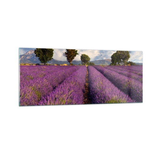 Quadro su vetro - Campi di lavanda - 100x40 cm