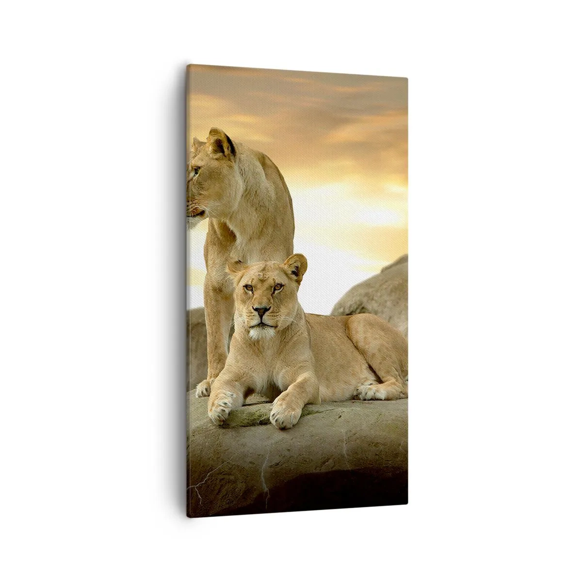 Quadro su tela - Stampe su Tela - Maestà reale - 55x100 cm