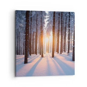 Quadro su tela - Stampe su Tela - Decisamente nero su bianco - 70x70 cm