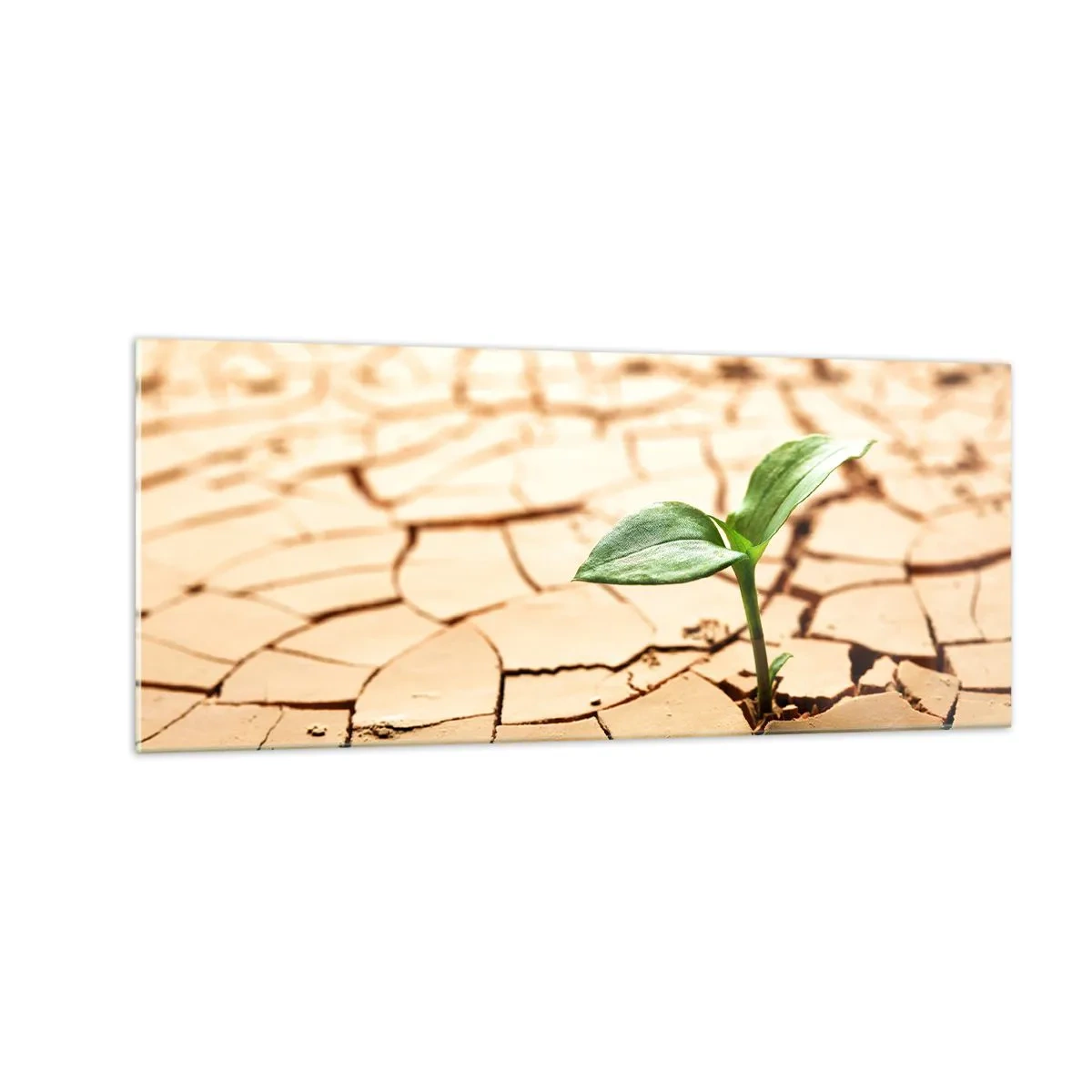 Quadro su vetro - L'indomita forza della vita - 100x40 cm