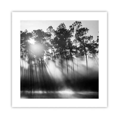 Poster - Sole irrefrenabile - 40x40 cm