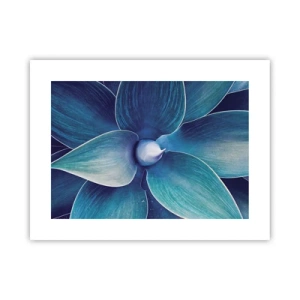 Poster - Imbluito dal sole - 40x30 cm