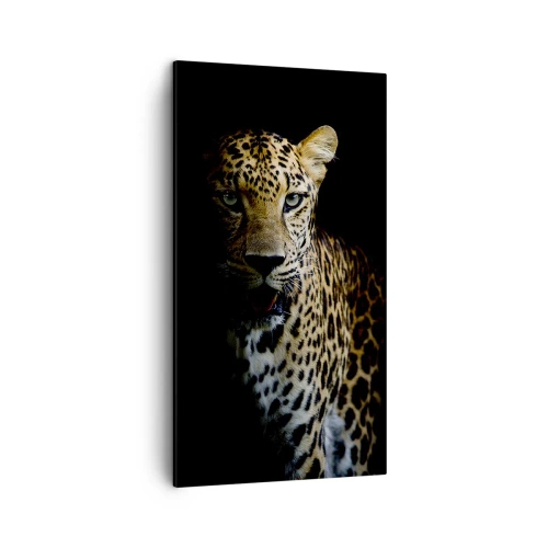 Quadro su tela - Stampe su Tela - Bellezza tenebrosa - 45x80 cm