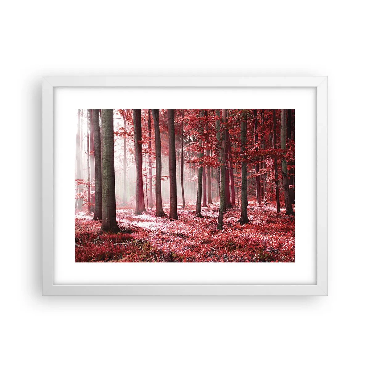 Poster in cornice bianca - Anche rosso è bello - 40x30 cm