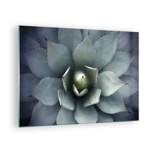 Quadro su vetro - Un primo piano delle foglie simmetriche dell'agave color acciaio. - 70x50cm - Adesca e minaccia - Decorazione murale moderna per soggiorno e camera da letto ARTTOR