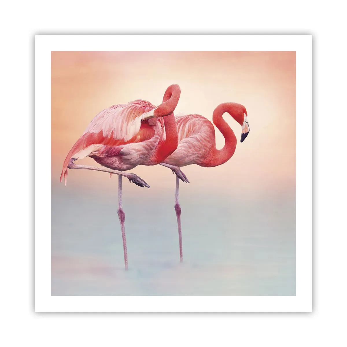Poster - Nel colore del sole al tramonto - 60x60 cm