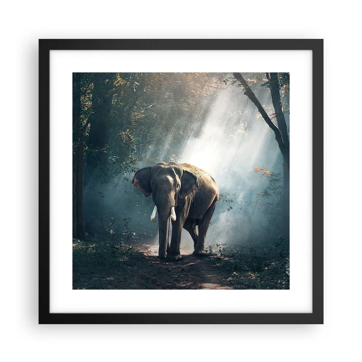 Poster in cornice nera - Tranquilla passeggiata - 40x40 cm