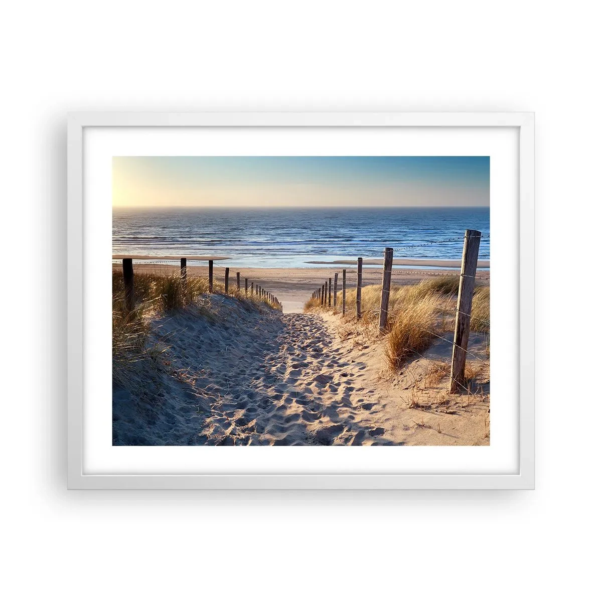 Poster in cornice bianca - Rumore del mare, uccelli che cantano, spiaggia selvatica tra i cespugli... - 50x40 cm