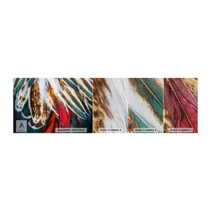 Campione di Fotomurale Premium Canvas - I misteri del volo - Astrazione, Pezzo, Boho - 100x30 cm