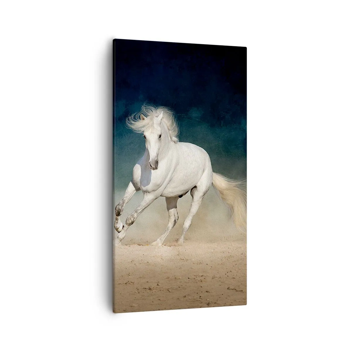 Quadro su tela - Stampe su Tela - Libertà allo stato puro - 55x100 cm