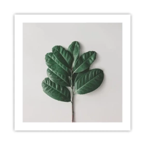 Poster - Il disegno della natura stessa - 50x50 cm