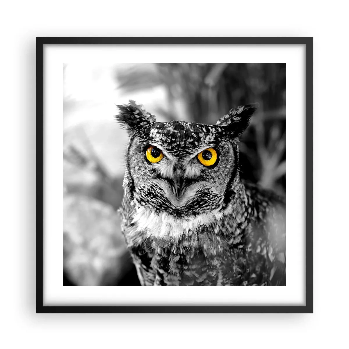 Poster in cornice nera - Non si può nascondere niente - 50x50 cm