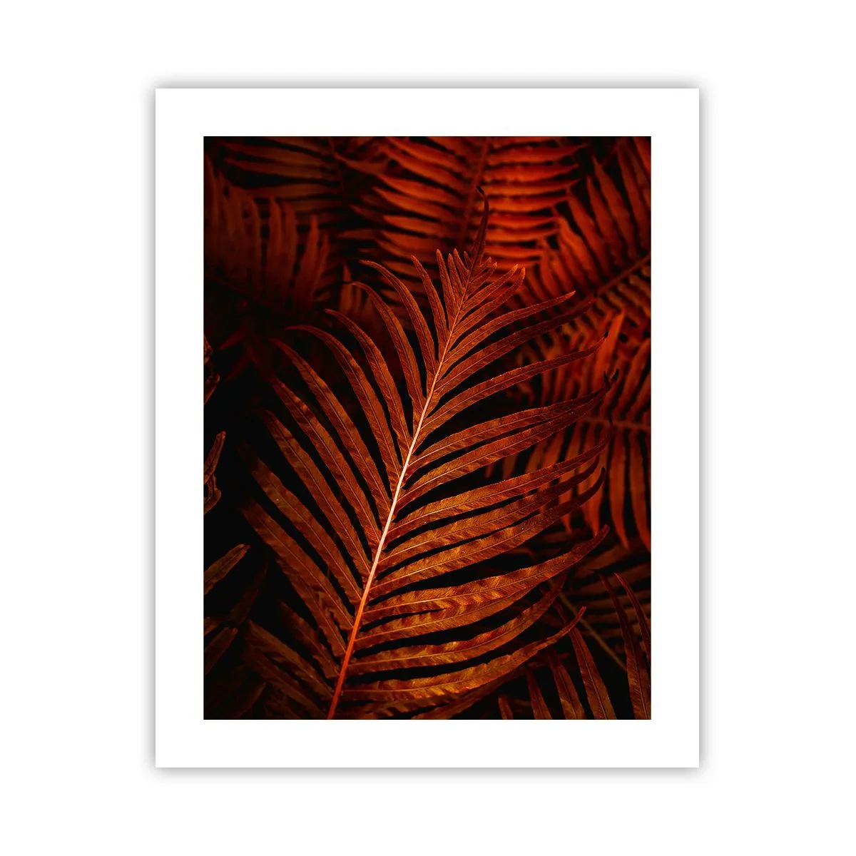 Poster - Il calore della vita - 40x50 cm