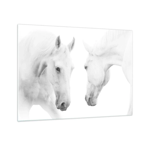 Quadro su vetro - Due cavalli bianchi uno di fronte all'altro su uno sfondo chiaro - 70x50cm - È amicizia? - Decorazione murale moderna per soggiorno e camera da letto ARTTOR