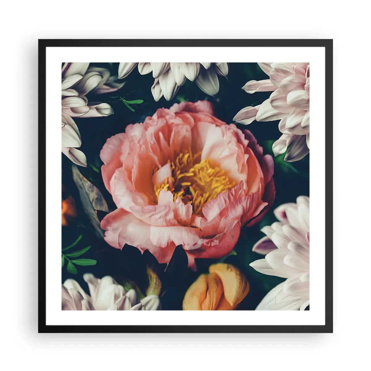 Poster in cornice nera - Con fasto barocco - 60x60 cm