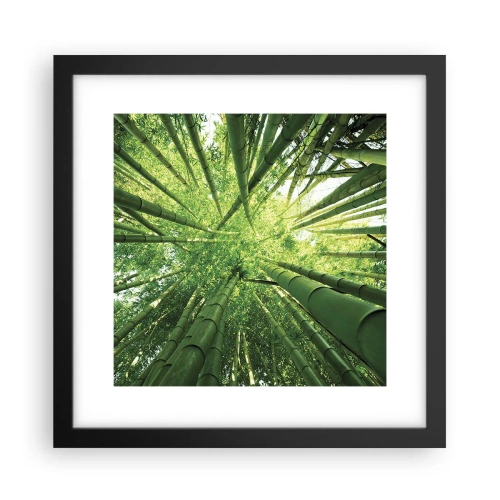 Poster in cornice nera - Nella foresta di bambù - 30x30 cm