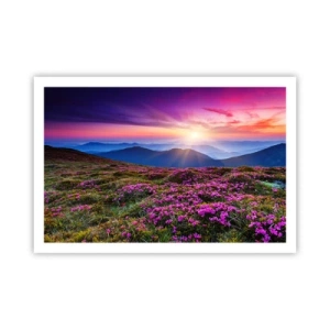 Poster - Il profumo dei fiori freschi del campo - 91x61 cm