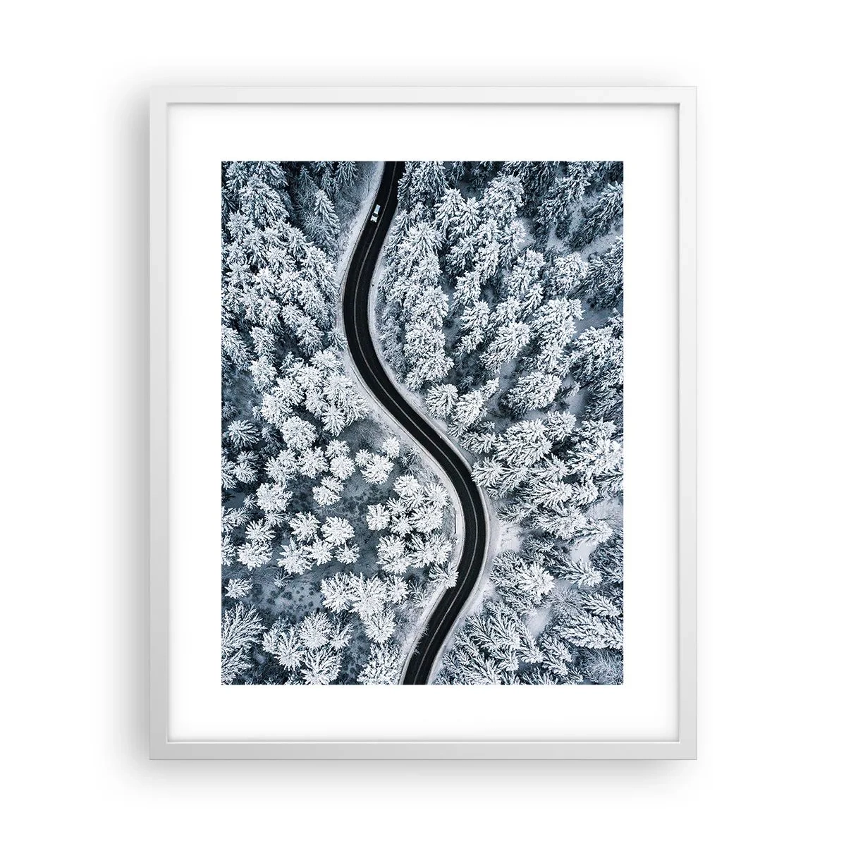 Poster in cornice bianca - Attraverso il bosco invernale - 40x50 cm