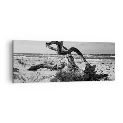 Quadro su tela - Stampe su Tela - Paesaggio in bianco e nero con un albero morto sulla spiaggia - 140x50cm - Scolpito dal mare - Decorazione murale moderna per soggiorno e camera da letto ARTTOR